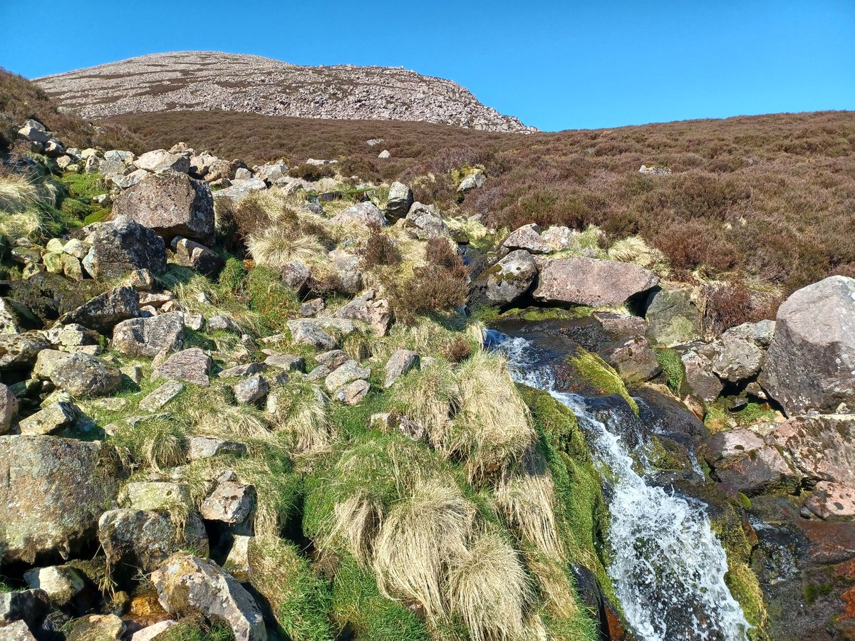 sandyclem's tweet photo. How can you pick just four photos to post from a 23km hike around Buttermere? Here are a couple of highlights though #Buttermere #lakedistrict #Cumbria #wainrightswalks #redpike #seat #highcrag #haystacks #highstile https://t.co/JSGDm9nam7