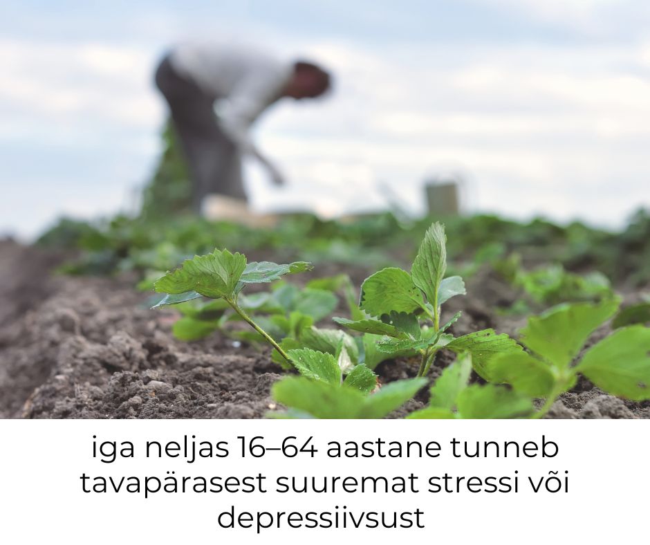 tstua's tweet photo. Täna avaldatud 2022. a Eesti täiskasvanud rahvastiku tervisekäitumise küsitlusuuringu andmetest selgub, et vaimse tervise probleemid on kahe aasta jooksul muutunud sagedasemaks 📰 https://t.co/tYDOoBYcU3 https://t.co/4QekUts7UU