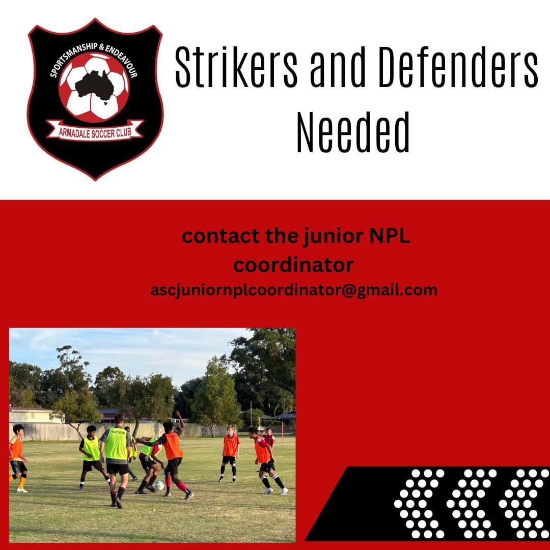 Our U13 &amp; U14 Junior NPL teams require a striker and a defender to complete their teams.

If interested email ascjuniornplcoordinator@gmail.com with previous playing history.