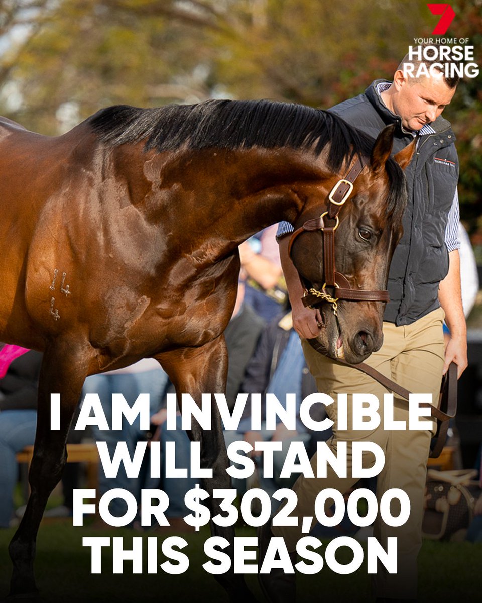 7HorseRacing 🐎 tweet media