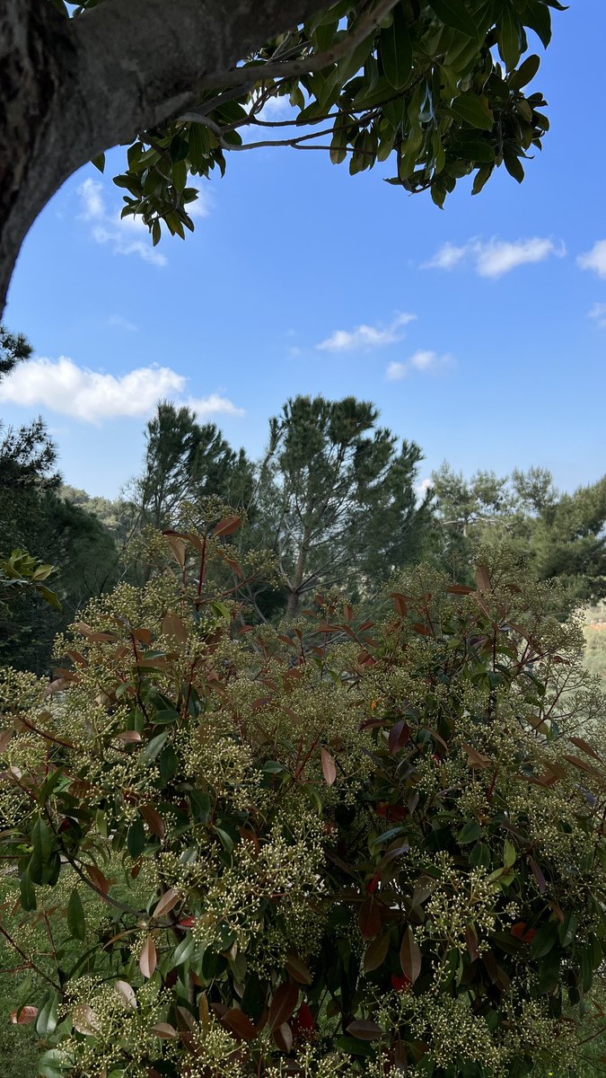 Bayram insanlığa huzur, barış ve kardeşlik getirmesi dileklerimle, selamlar sevgiler