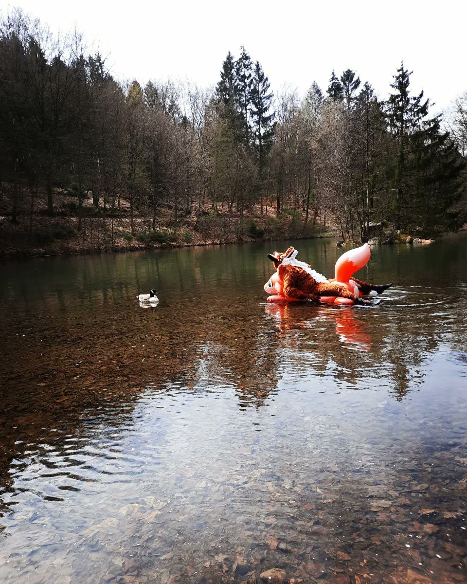Fanox_Feuer's tweet photo. I wish you all a peaceful Fursuitfriday. Enjoy the beautiful day and let yourself drift 🦊💧🦆
📸 by 🐾Sayco🐾 at Furforest
#furry #FursuitFriday #fursuit #furforest #furryfandom https://t.co/gm399EYr8w