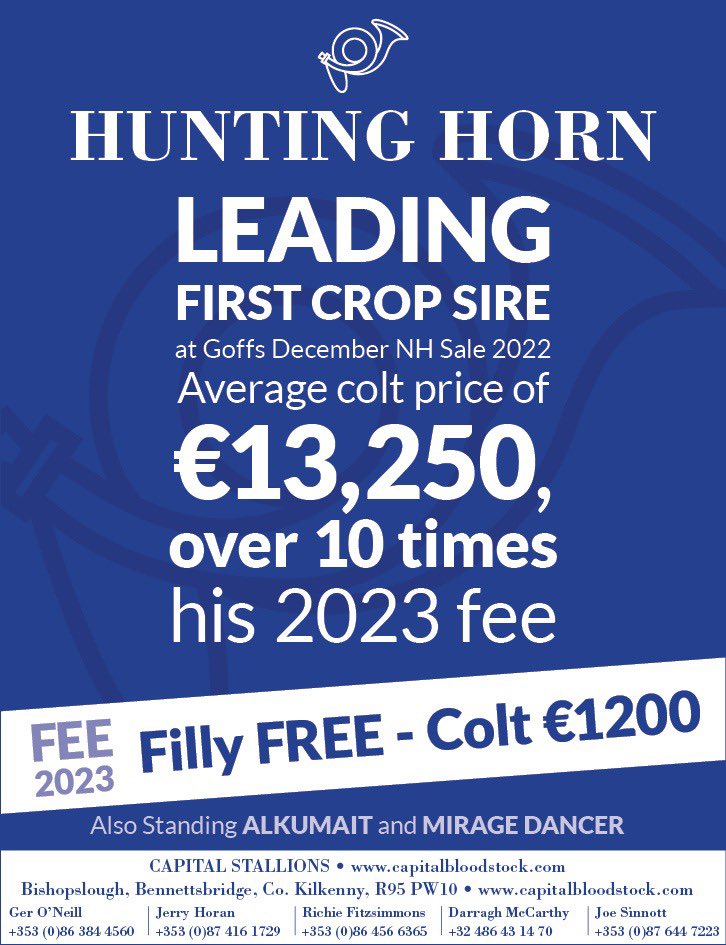 Capital_Stud's tweet photo. ✋ if your looking for VALUE

HUNTING HORN a leading first crop sire in the sales ring is available for €1200 and FREE if you have a filly.
🤔 think about that &amp; 📞 NOW 086 3844560 https://t.co/pAozQUcj2V