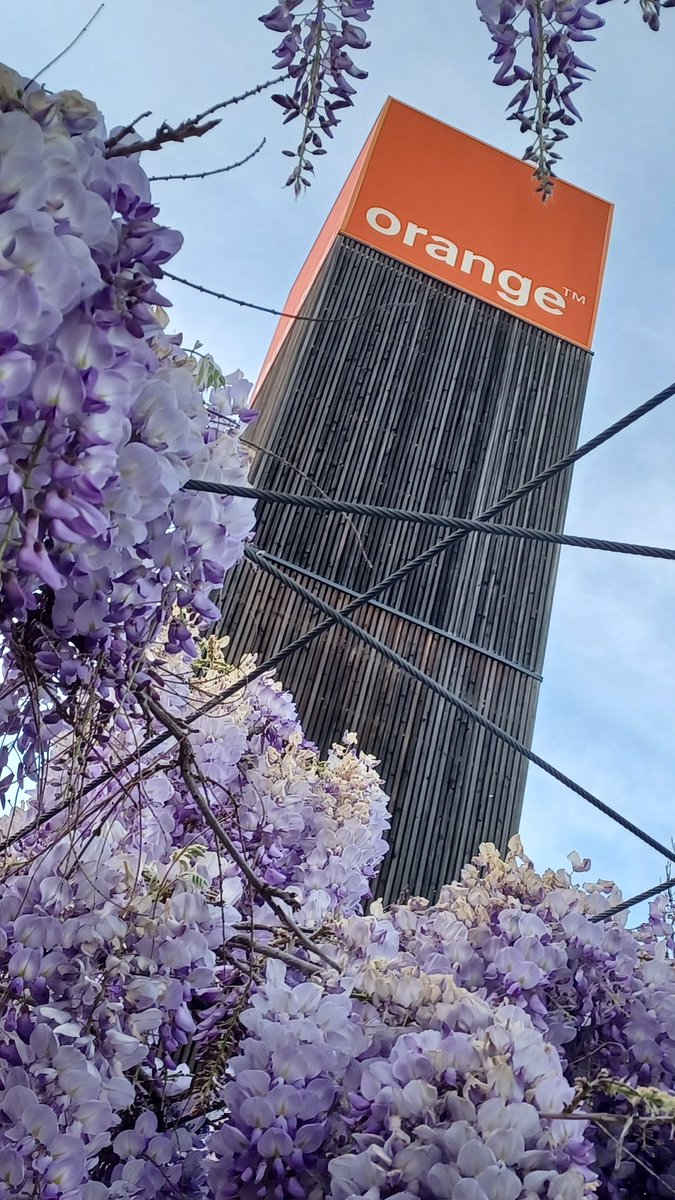 Magali Michel 🍊📱🌐 🌍 tweet media