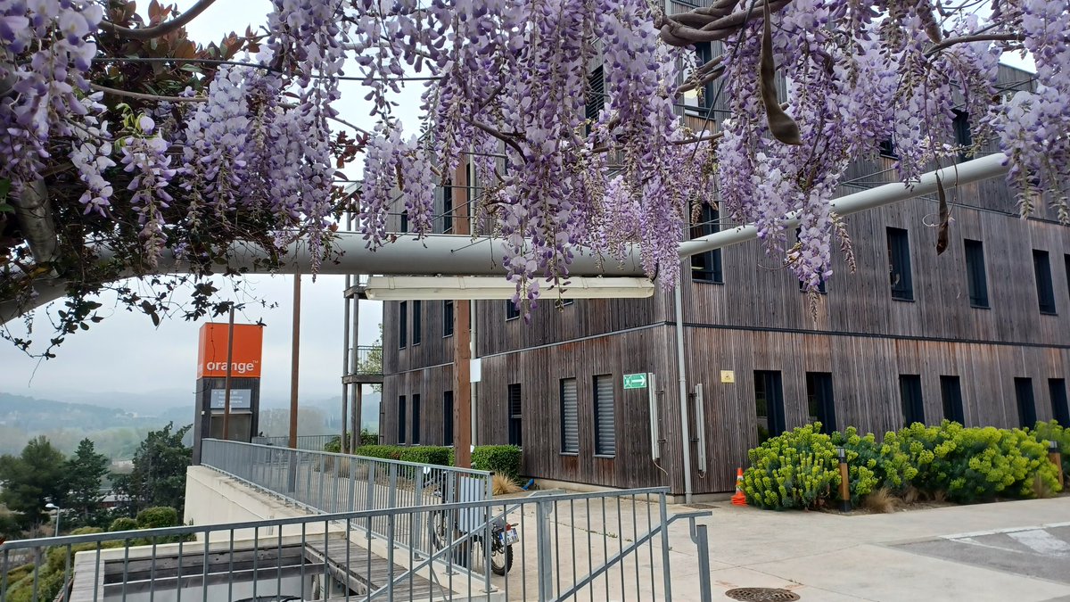 Magali Michel 🍊📱🌐 🌍 tweet media