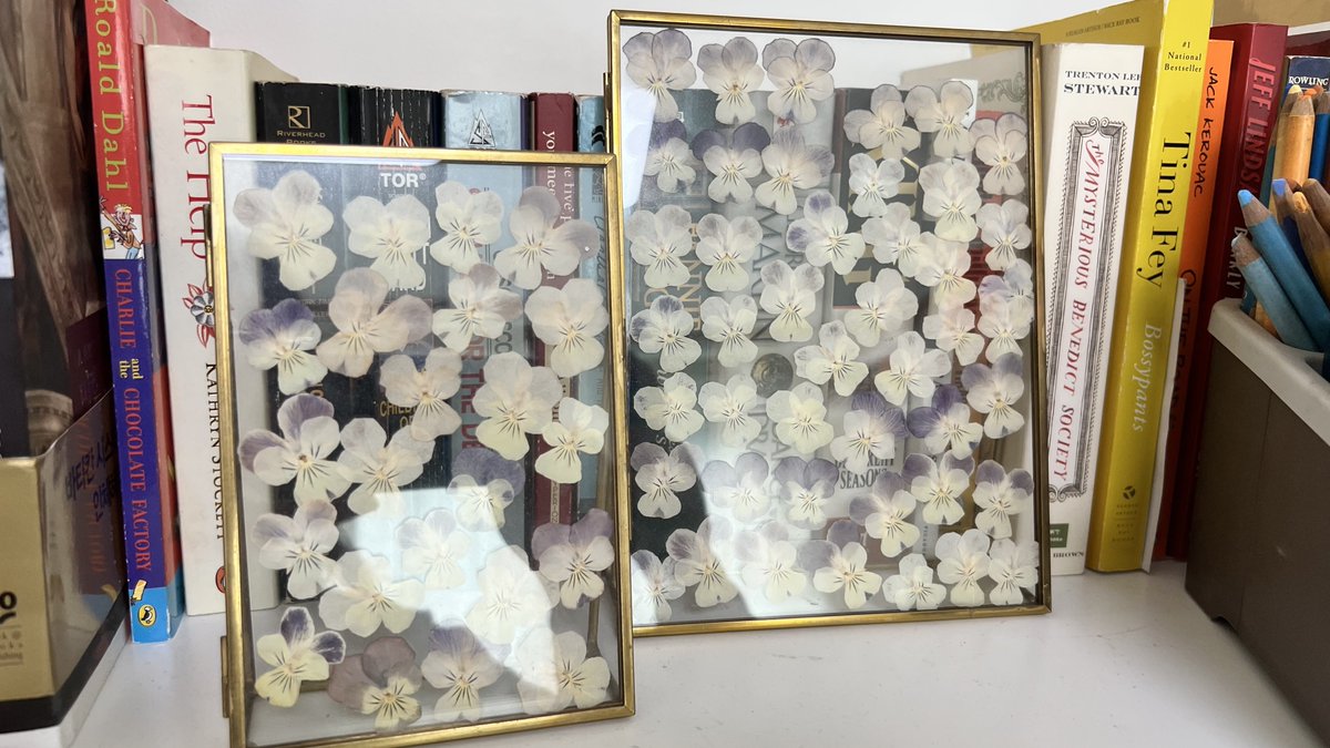 압화시켜놨던 꽃이 아직 많이 남았는데...
보관을 잘해도 색이 바래지는건 어쩔수 없나봐햇빛 본 애들은 더 빨리 색이 점점 빠져가는 중