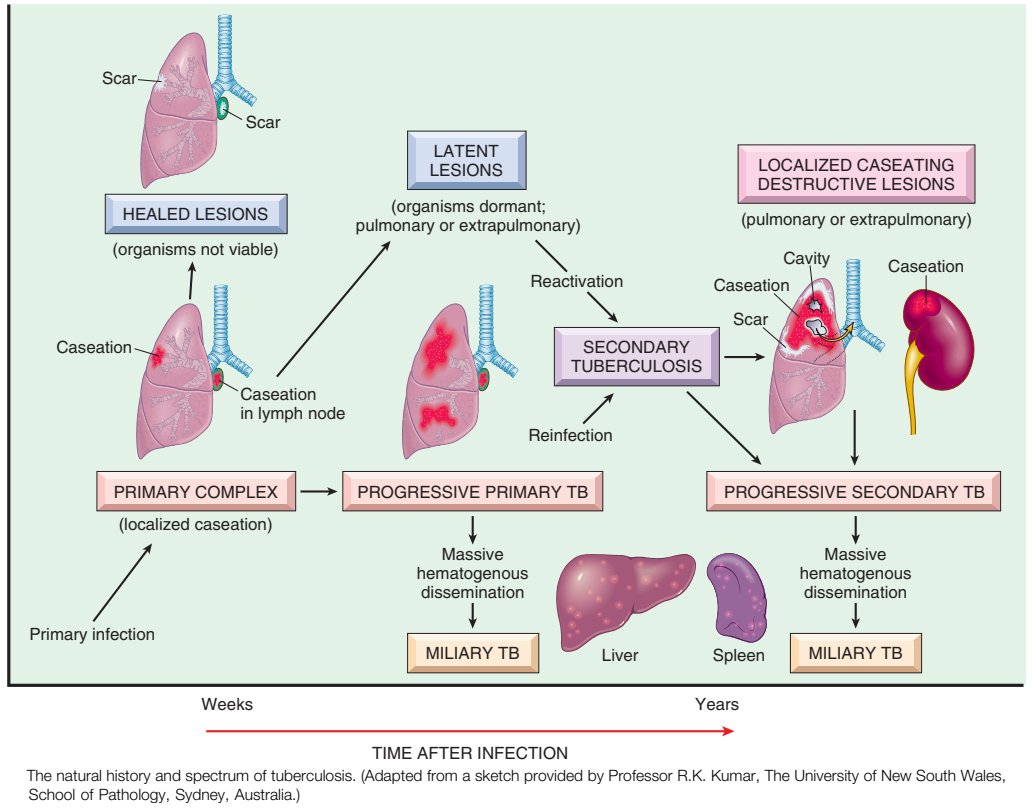 ManualOMedicine tweet picture