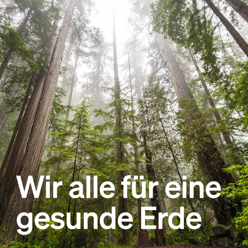 FloraFG_dachit's tweet photo. Upfield hat ehrgeizige Ziele für eine bessere #Zukunft auf einem gesünderen Planeten. Bis zum Jahr 2030 streben wir an, 95% unserer Verpackungen vollständig plastikfrei herzustellen und arbeiten hart daran, alternative Verpackungslösungen zu entwickeln. #TagderErde​ 🌱