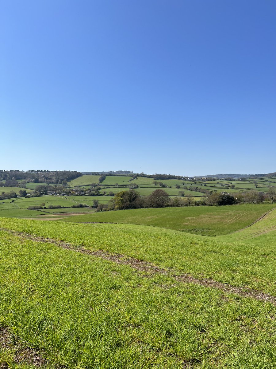 Jacky Francis (@jackyfrancis12) on Twitter photo We had sunshine yesterday so took a walk round the buzzard trail in our beautiful hospital grounds with <a href="/miranda1061/">Miranda Cotton</a> and <a href="/gemsy21/">Gemma Fellows</a> very lucky to have this on our doorstep! <a href="/DPT_NHS/">Devon Partnership NHS Trust</a> @DPT_SecureCare We had sunshine yesterday so took a walk round the buzzard trail in our beautiful hospital grounds with <a href="/miranda1061/">Miranda Cotton</a> and <a href="/gemsy21/">Gemma Fellows</a> very lucky to have this on our doorstep! <a href="/DPT_NHS/">Devon Partnership NHS Trust</a> @DPT_SecureCare