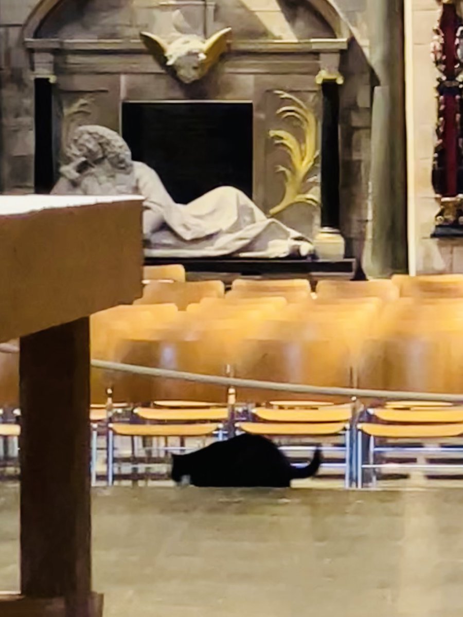 Still thinking about yesterday’s memorial service for #HilaryMantel. The speech from Hilary’s lifelong friend Anne was so apposite and moving, as was the final reading- Anne Enright, from HM’s piece on Monteverdi’s L’Orfeo. Then there was this cat, slinking away at the end…