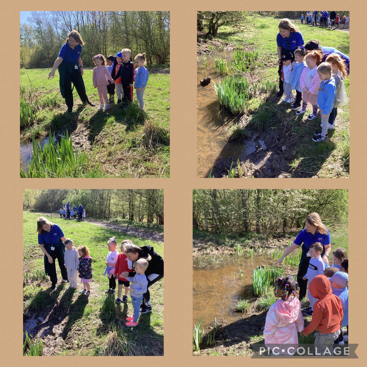 NewStevenstonPr's tweet image. Sunny days at the forest. We had so much fun visiting the frogs and tadpoles at the pond 🐸☀️ #ForestFun #OutdoorLearning