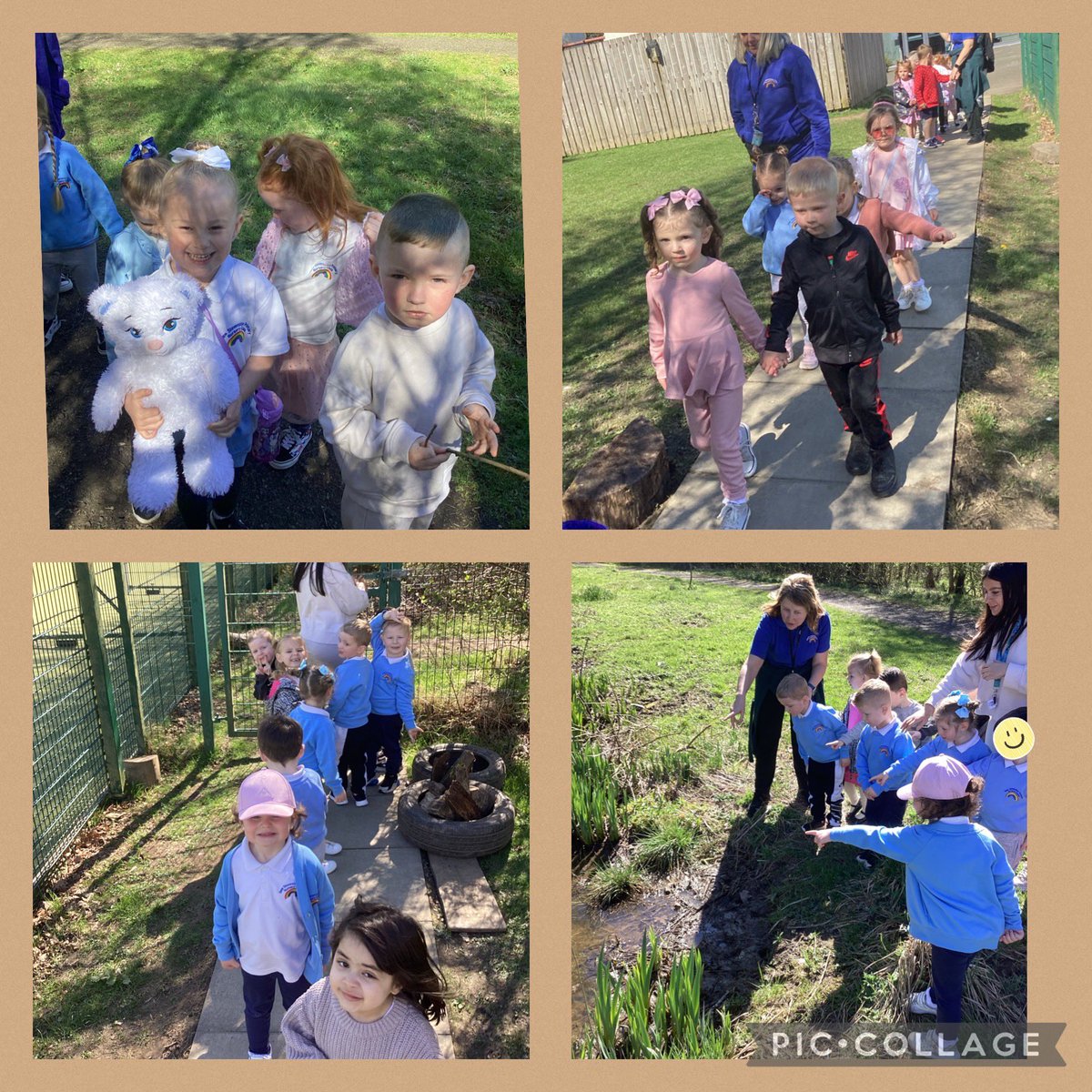 NewStevenstonPr's tweet image. Sunny days at the forest. We had so much fun visiting the frogs and tadpoles at the pond 🐸☀️ #ForestFun #OutdoorLearning