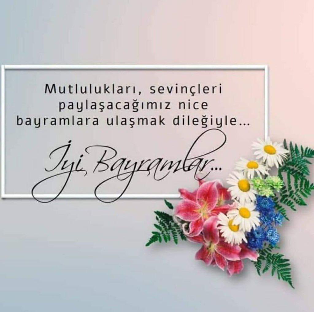 Sezer Barışır (@sezerbarisir) on Twitter photo 