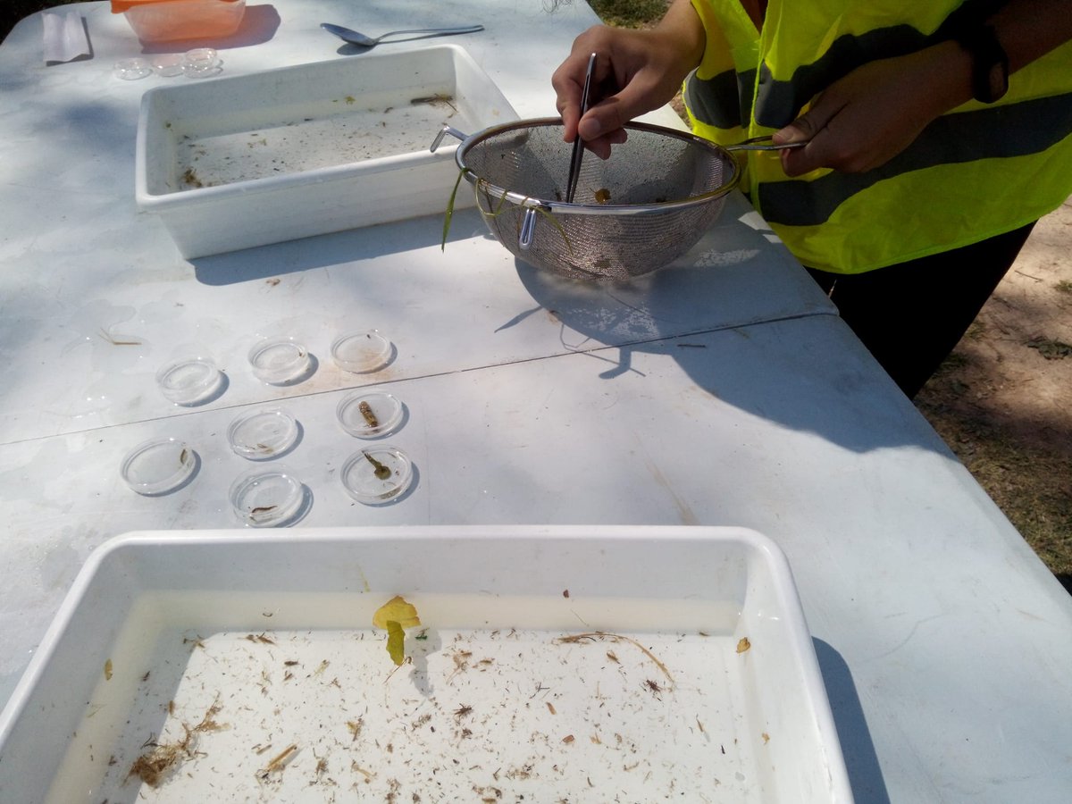 fundacionO2's tweet photo. #Quintanadueñas
hace unos días estuvimos en el río Ubierna recogiendo residuos con alumnos del @CEIPQuintanadue y realmente fue una autentica barbaridad, pero una grandisima labor y sensibilización
Gracias voluntarios!
#microplasticosMACROBASURA #CSIrios @mitecogob @empleojcyl https://t.co/i51UjP4mjB