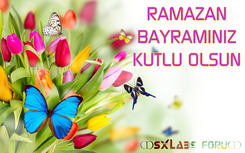İyi bayramlar. #RamazanBayramı msxlabs.org/forum/musluman…