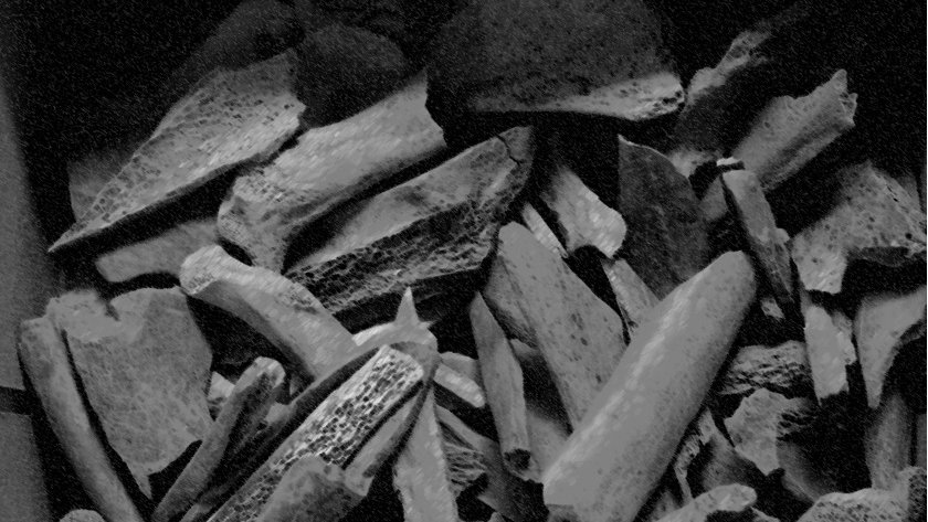 Are you interested in human evolution &amp; palaeoproteomics? 💀 Are you interested in applying for an <a href="/MSCActions/">Marie Skłodowska-Curie Actions</a> postdoctoral fellowship to join the Welker Group this autumn? 🇩🇰Please reach out to us!