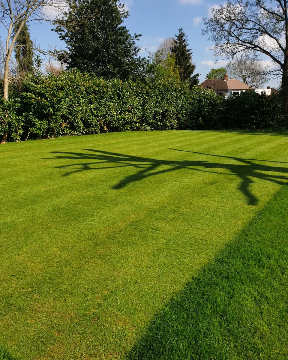 bentebbs's tweet photo. Great job by Josh and the team.. new tee on 13 looking fantastic for the weekend ahead and the Spring Meeting...the season is underway !
#springmeeting #greenkeeping #freshturf #maldengolfclub๐๏ธโโ๏ธ๐๏ธโโ๏ธ https://t.co/rKM2Sgj4TU