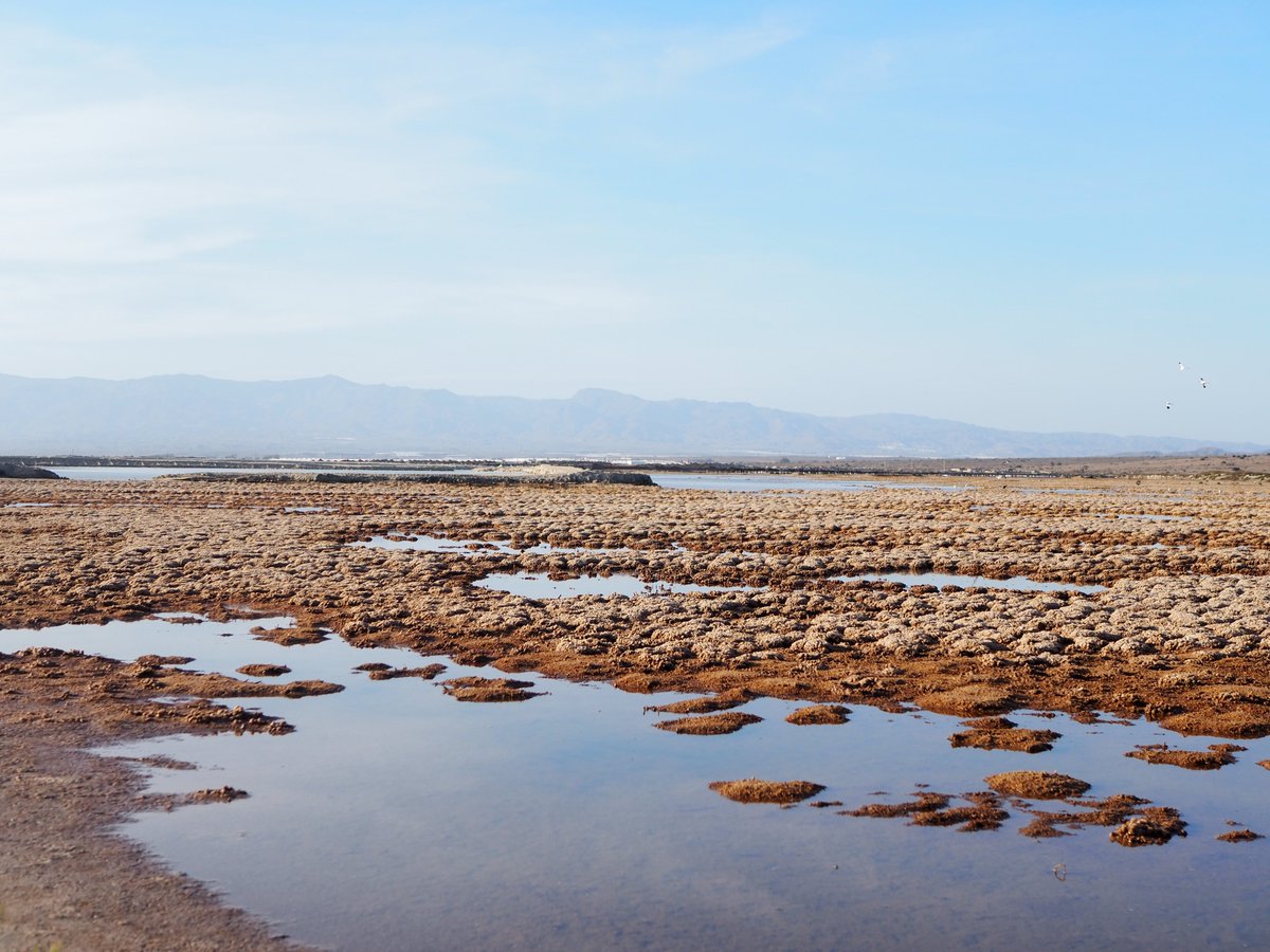 igsopas's tweet photo. Beautiful and busy days in Sorbas region in #Spain. Monika Czajkowska from @PasteamLab with @UniWarszawski studied the gypsum #tumuli and fauna of #Ostracoda in the driest place in Europe https://t.co/WSCESPpQDl