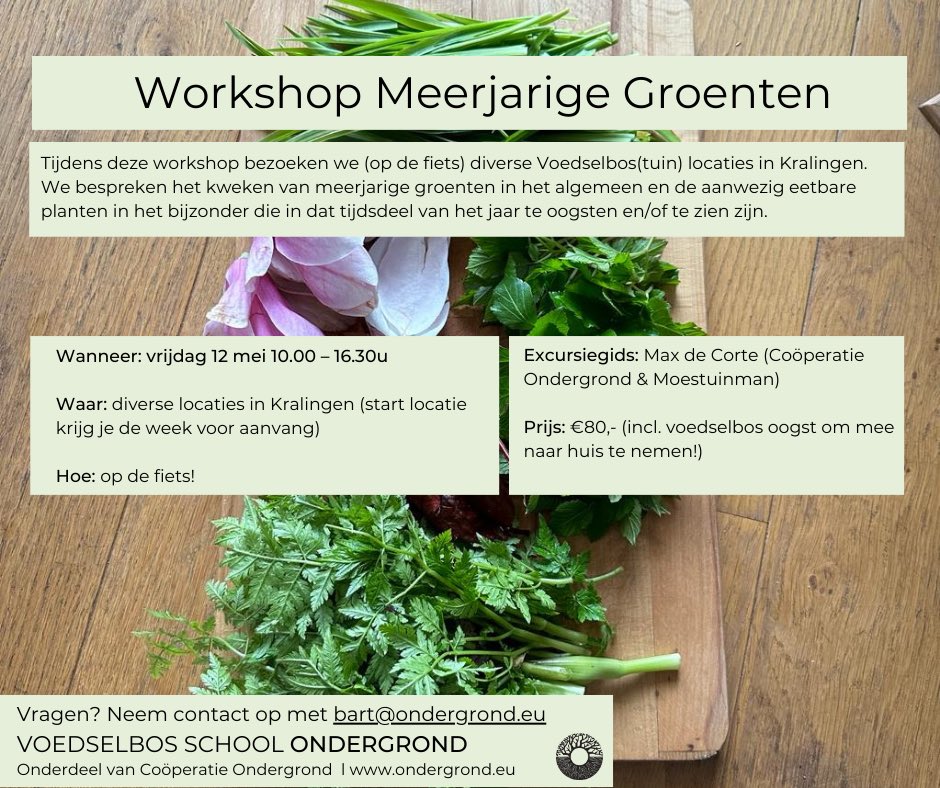 Wil jij alles leren over meerjarige groenten? Dit voorjaar schiet alles de grond uit en wij laten je op 12 mei graag kennis maken met als die planten, smaken &amp; hoe ze te eten🤗 Meer info en aanmelden: ondergrond.eu/activiteit/wor… 🌱🌳👌