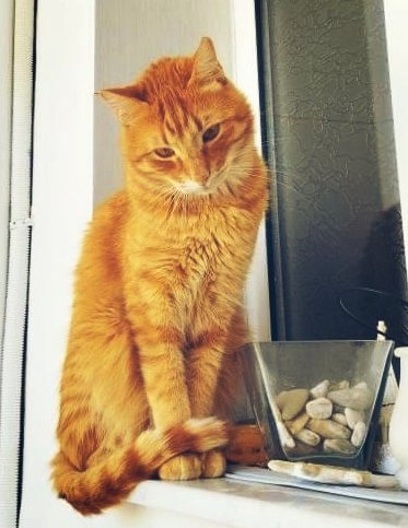 KamilaPardali's tweet photo. Άραγε https://t.co/gPcBzXaUw2