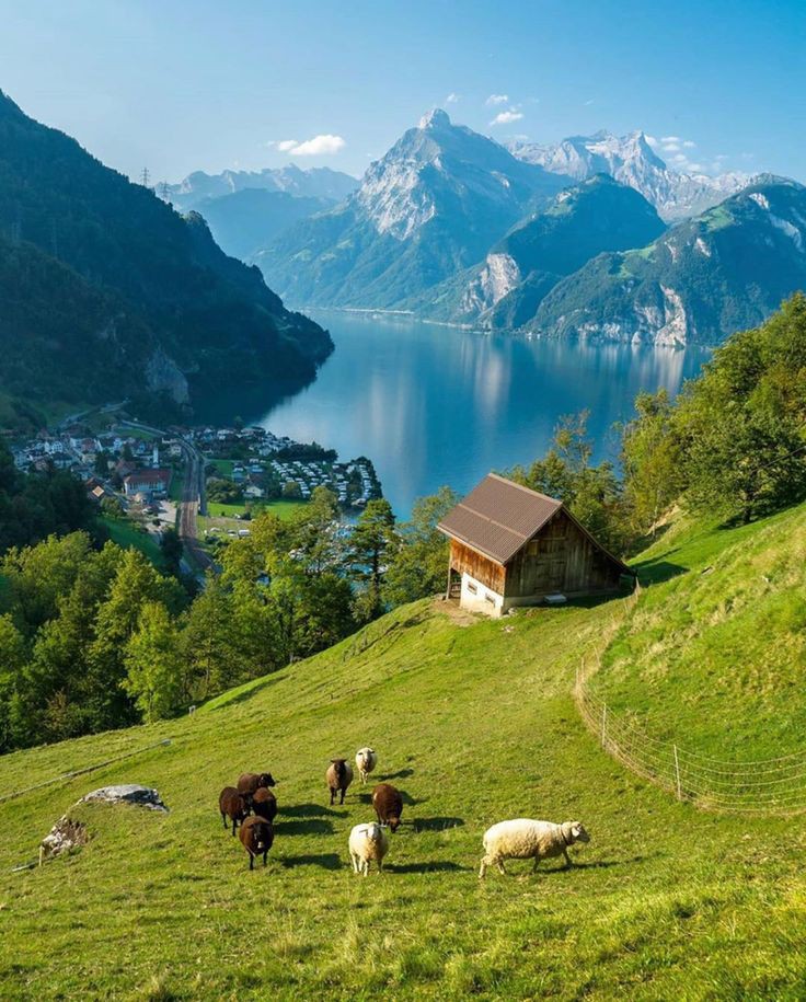 Aleksan52094351's tweet photo. Beautiful 💚🏞️ https://t.co/9v6Kdt4AmV