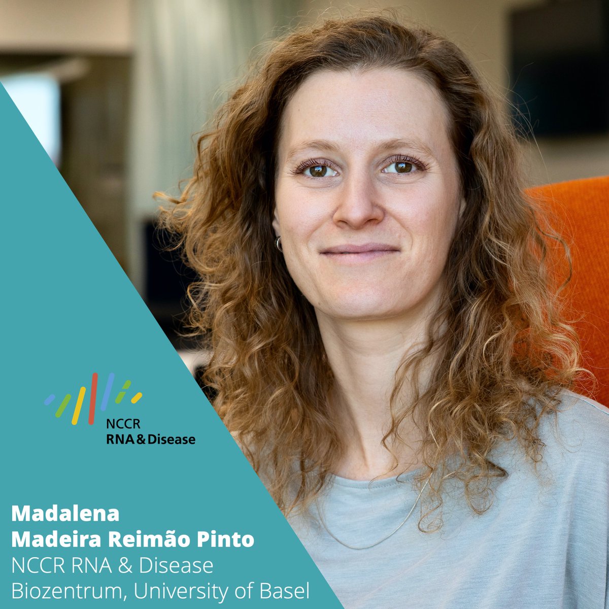 "I wish that girls are free to explore what they want to explore at that moment. Because promoting this exploration is what you need to be(come) a good scientist." Meet @madalenamrp <a href="/schierlab/">Alex Schier</a> <a href="/biozentrum/">Biozentrum, University of Basel</a> in the #NCCRWomen portrait of the <a href="/NCCR_RNADisease/">NCCR RNA & Disease</a>: bit.ly/40eNAqd