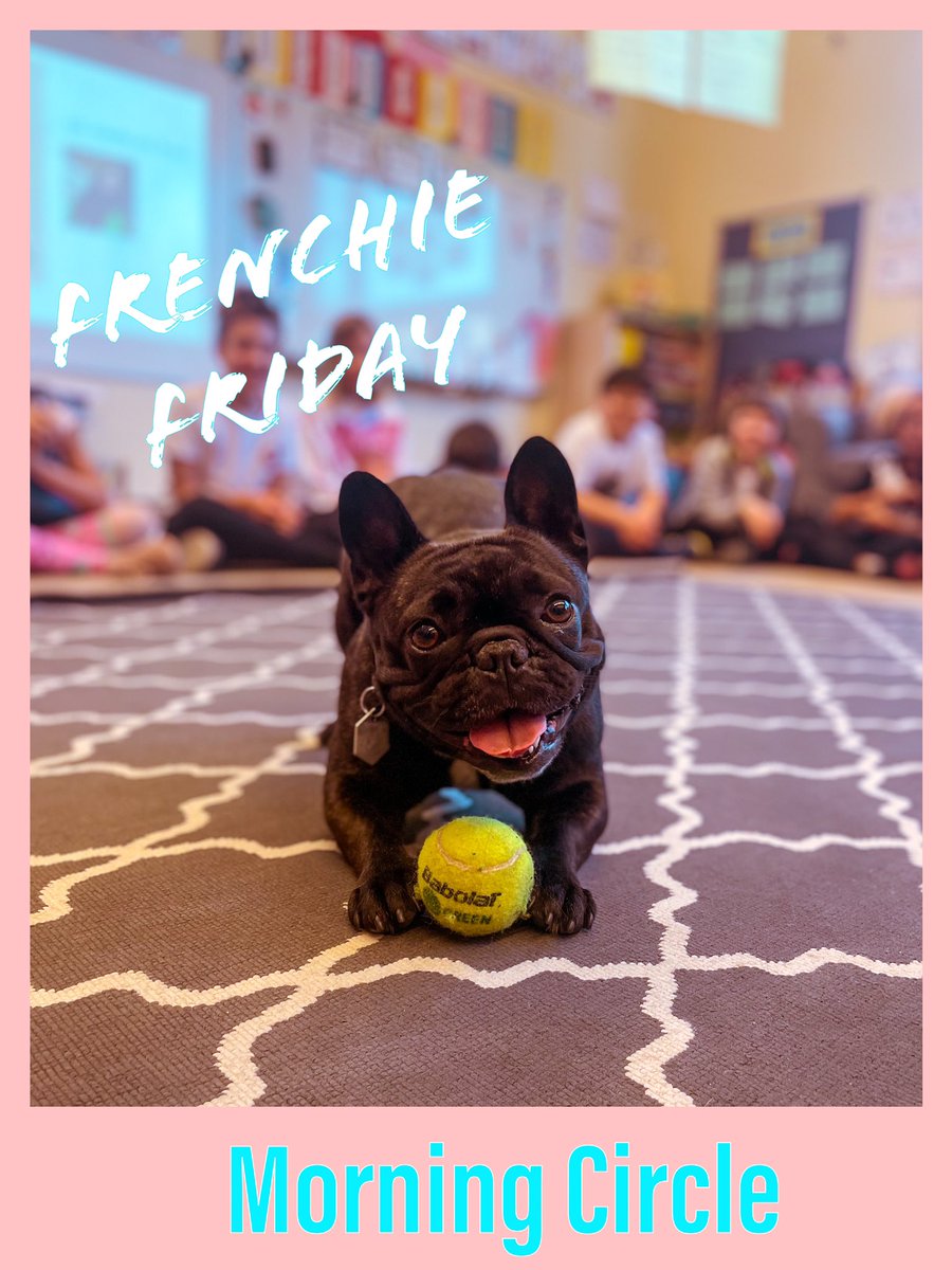 Community Building Time is the best way to start your day! @ASW_Warsaw #frenchiefriday #growyourhappiness #community #wellbeing