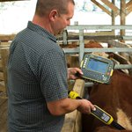Photo by Datamars Livestock UK (@DatamarsEurope)