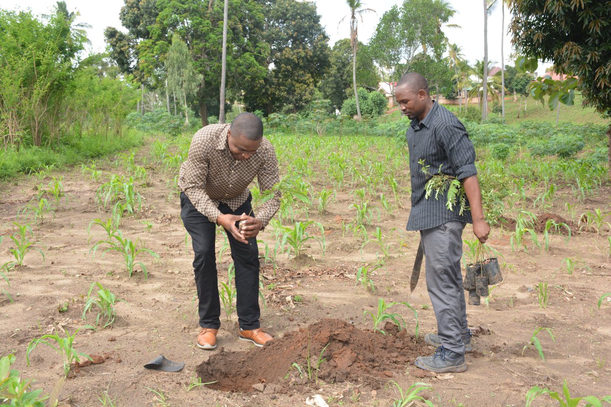 NIMR-Amani Medical Research Centre tweet media