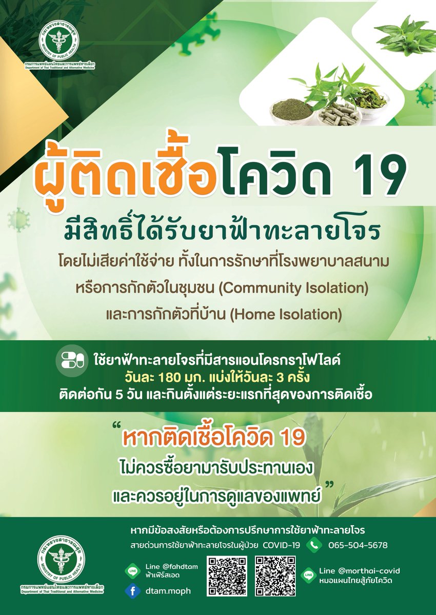 dtam_moph's tweet photo. กรมแพทย์แผนไทยฯ ย้ำ ใช้ยา #ฟ้าทะลายโจร รับมือสถานการณ์ #โควิด19 ได้อย่างมีประสิทธิภาพ

หลังเทศกาลสงกรานต์ อาจมีการคาดการณ์จากหลายหน่วยงานว่า โควิด 19 จะกลับมาระบาด กรมการแพทย์แผนไทยและการแพทย์ทางเลือก ออกมาย้ำสร้างความมั่นใจ ฟ้าทะลายโจร... https://t.co/VUJlhq4ggs