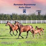 Photo by Tuğban İzzet Aksoy (@TopazStud)