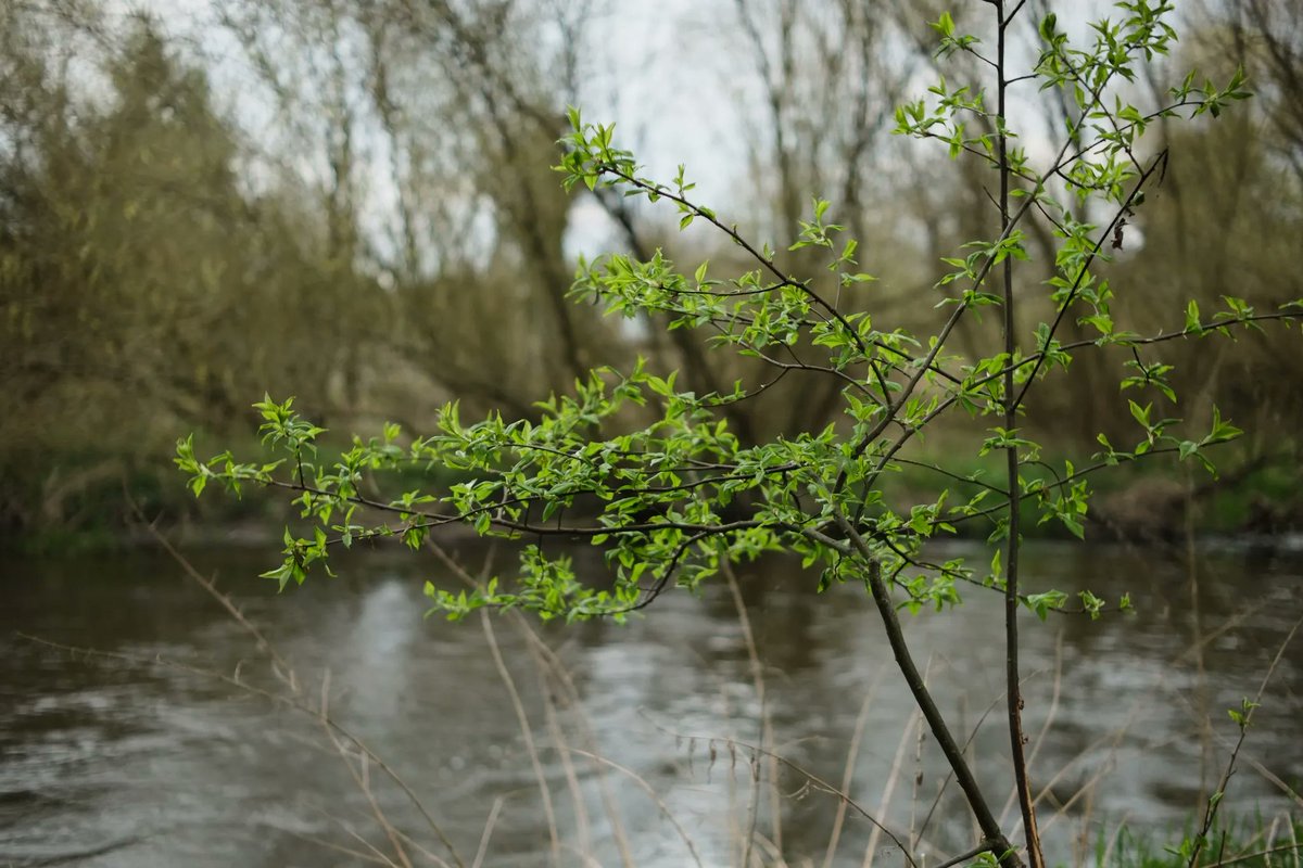 PremekVavrousek's tweet photo. Fuji X-E1 mě baví stále více. Krásné barvy a mnoho možností ladit vlastní barevné recepty. V tomto případě můj vlastní recept WarmNegative. Jak se vám líbí?
#fujiphotography #fujilove #fujicolors #sooc #fujixe1 #ttartisan35mm #naturephotography #spring #fujirecipe #warmnegative https://t.co/ALLTywTnPc