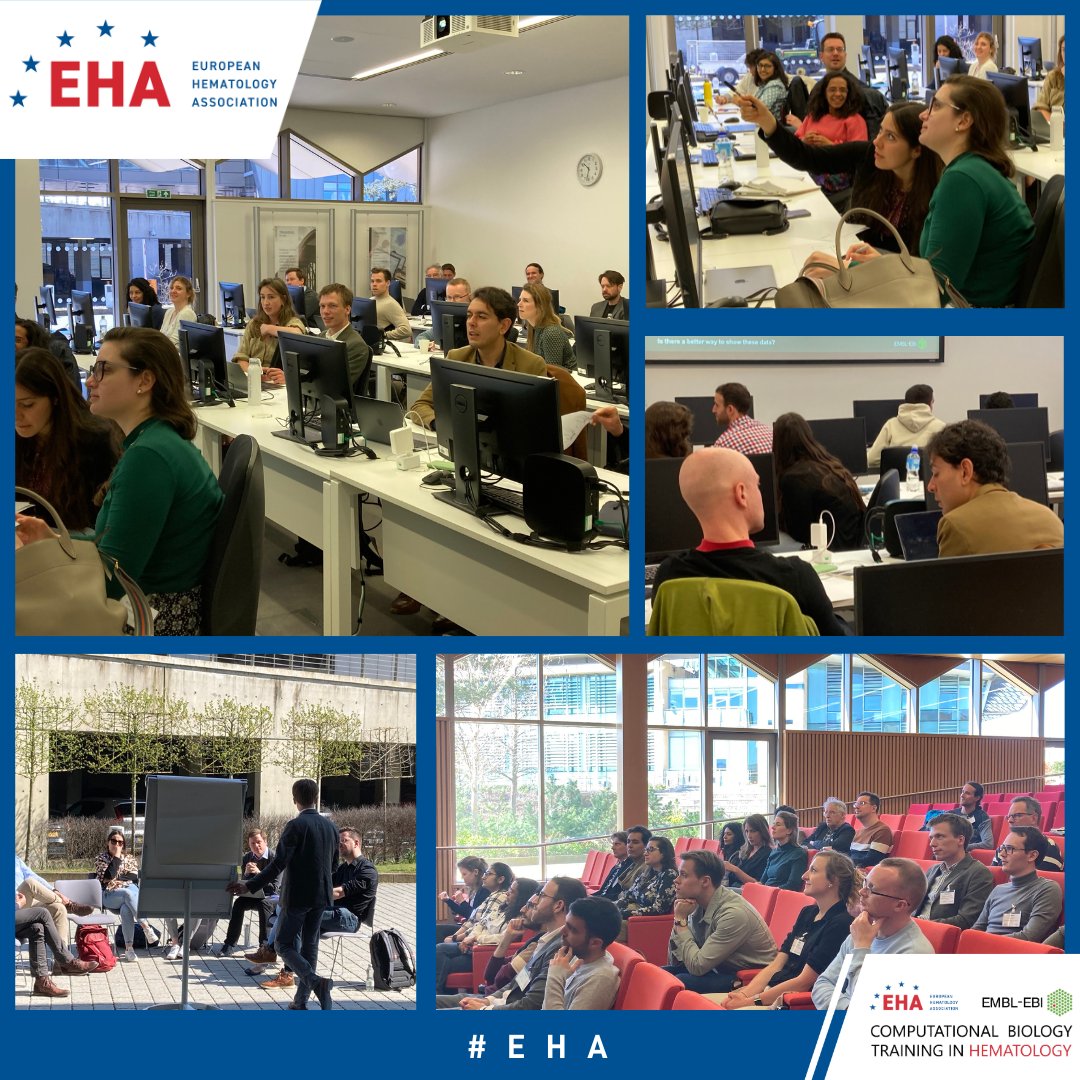 #CBTH scholars enjoy both didactic and interactive sessions focused on improving their computational biology skills and working on their projects. Interested in joining the next cohort? Applications will open in June, stay tuned: eha.fyi/CBTH2024 #YoungEHA #EBItraining
