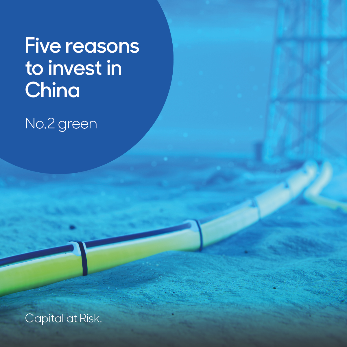 aberdeen_LU's tweet photo. China is at the forefront of wind, solar and battery tech. But which companies are leading the way on the journey to net zero? 
https://t.co/I8y2L73SKy

Capital at risk https://t.co/IsiTsKvfyR