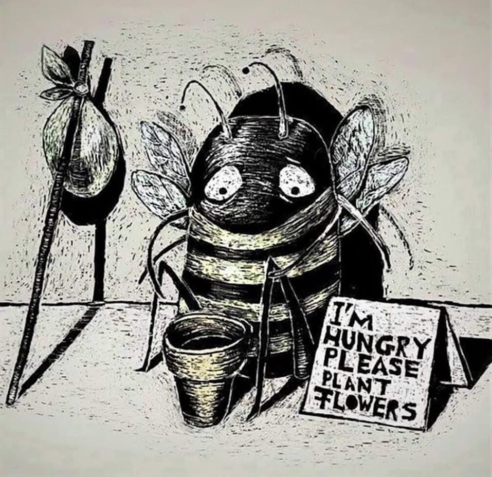pimlemmers's tweet image. Vergeet dit weekend aub de Bijentelling niet. Deze werd met een week verlengd vanwege de kou. Zaterdag staat ook in het teken van de Nationale Zaaidag, de 10e editie 🥳 #bijen #wildebijen #pollinators #earthday #zaaiendoetzoemen #vlinders #guerillagardening #steenbreek