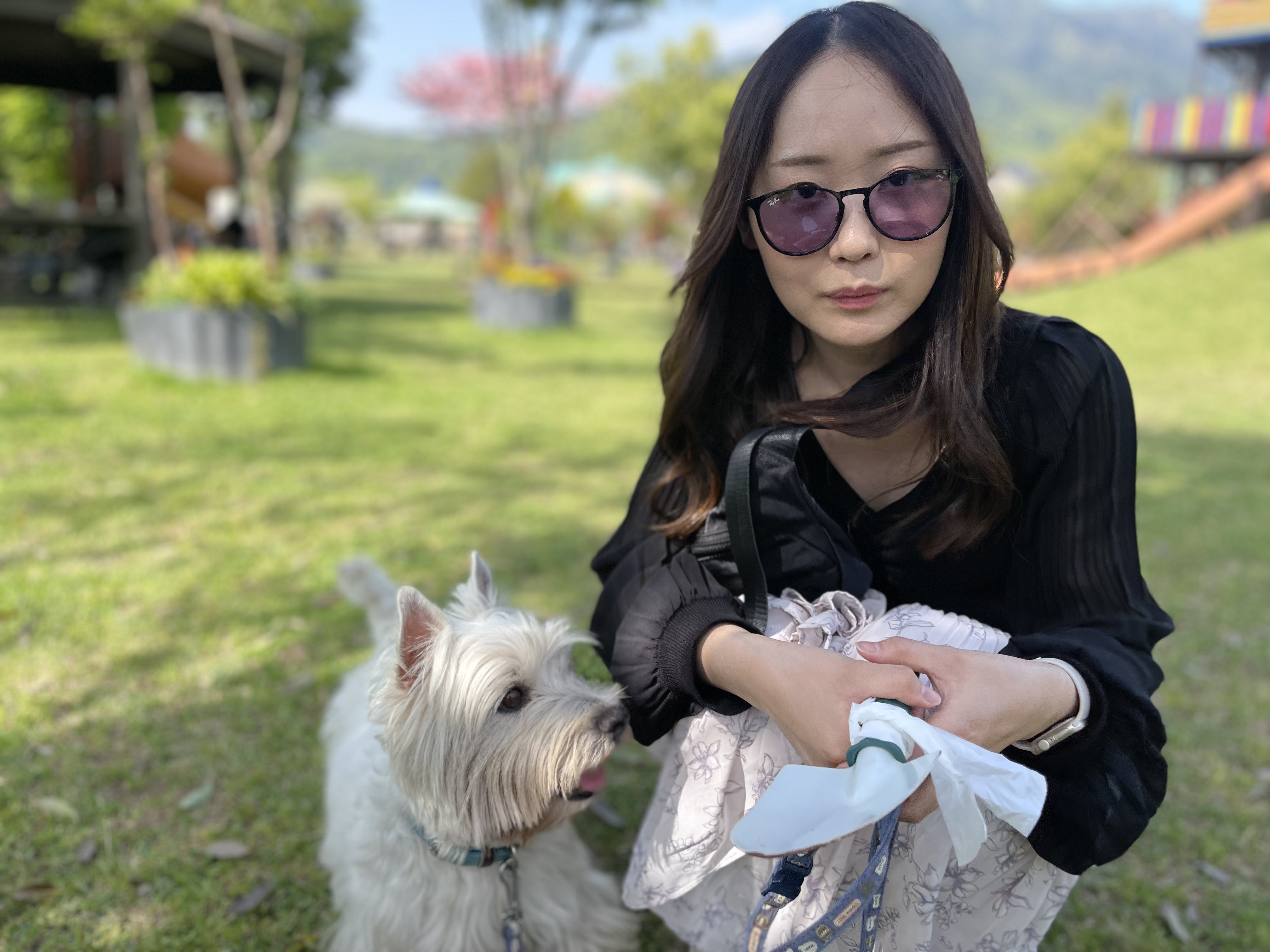 ドリフト僧侶 こまっちゃん on X: ドリフト僧侶 こまっちゃん on X: