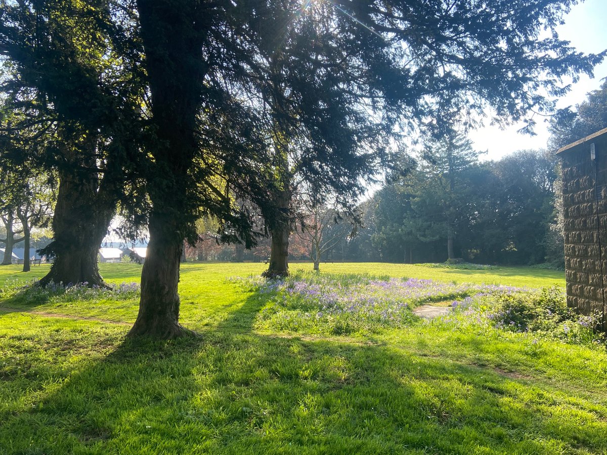 LindsayOTExe's tweet photo. Spring has arrived @DPT_NHS HQ this morning. 🌼 https://t.co/gUMX8UGrOd
