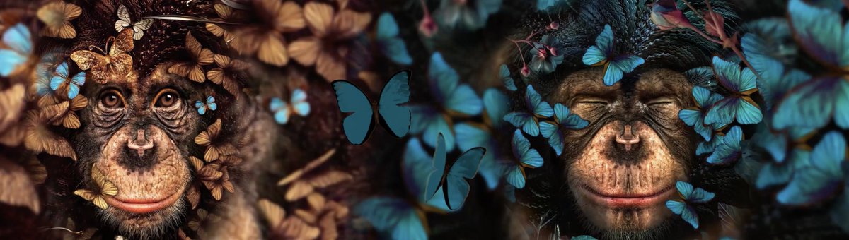 Art Innovation tweet media