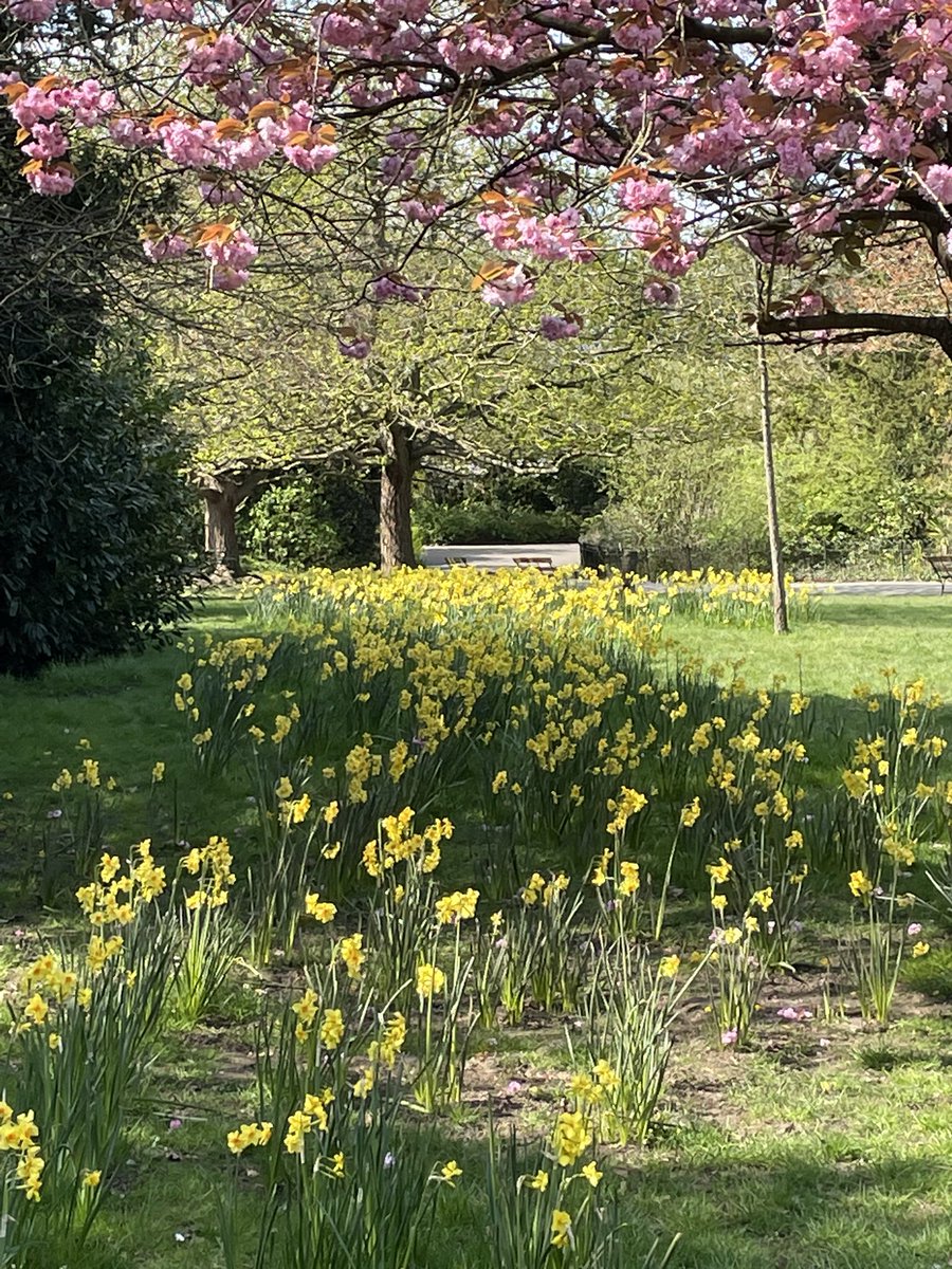 Dulwich Park Friends tweet media