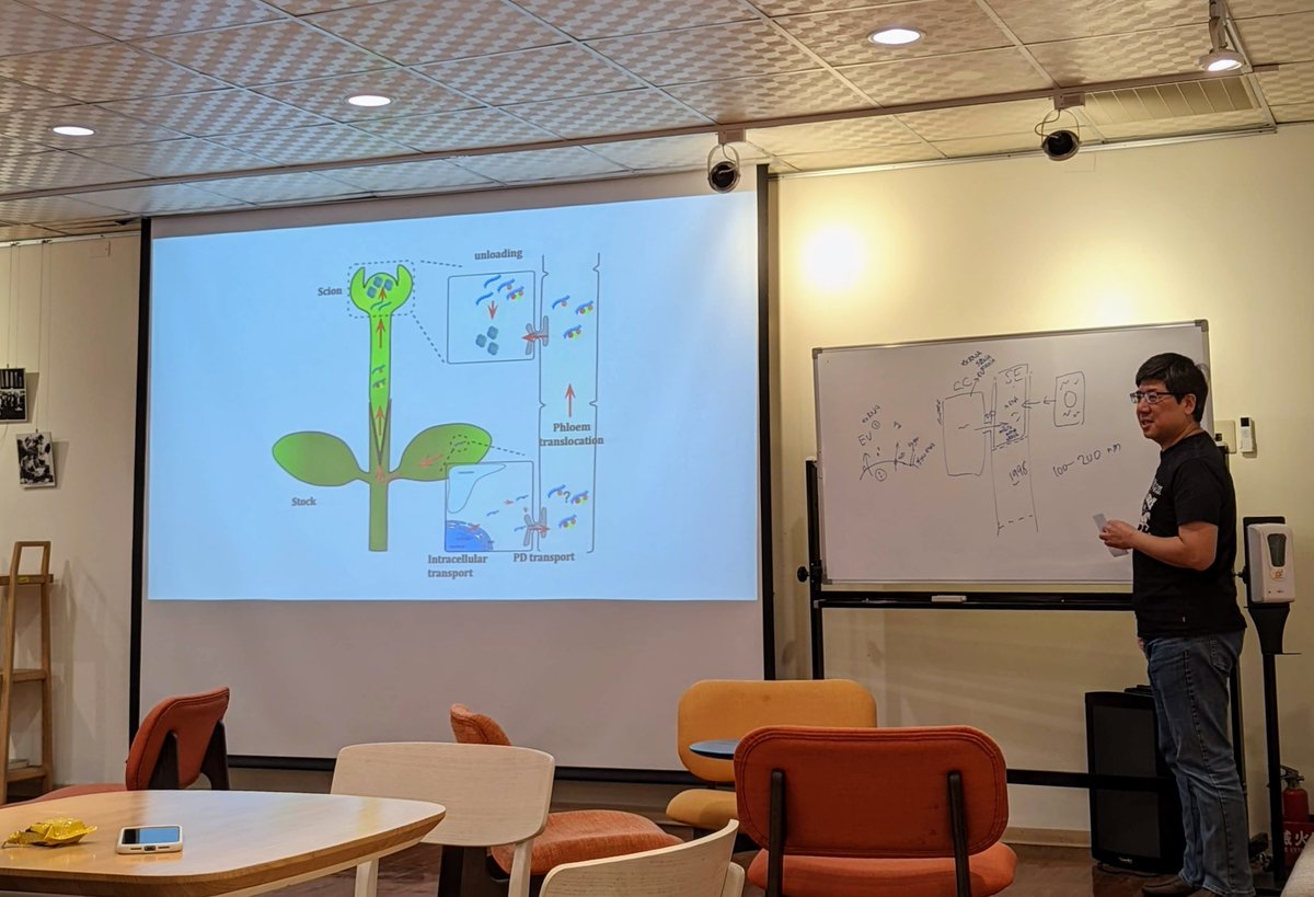 ChihHorngKuo's tweet image. My colleague @TsyLab gave a @IPMBSinica faculty chalk talk on the topic of "Loading and unloading of plant mobile mRNAs"
Plasmodesmata are so mysterious...