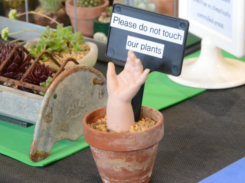 MandyCanUDigIt's tweet photo. My review of #HarrogateSpringFlowerShow. Congrats to Best in Show winners @plantagogo! Full Floral Art results Quirky pics from @ipa_music . @HarrogateFlower #harrogateflowershow #gardening #gardenshour #gardeningtwitter https://t.co/dCTuLrZbUd https://t.co/n3StT1FK8K