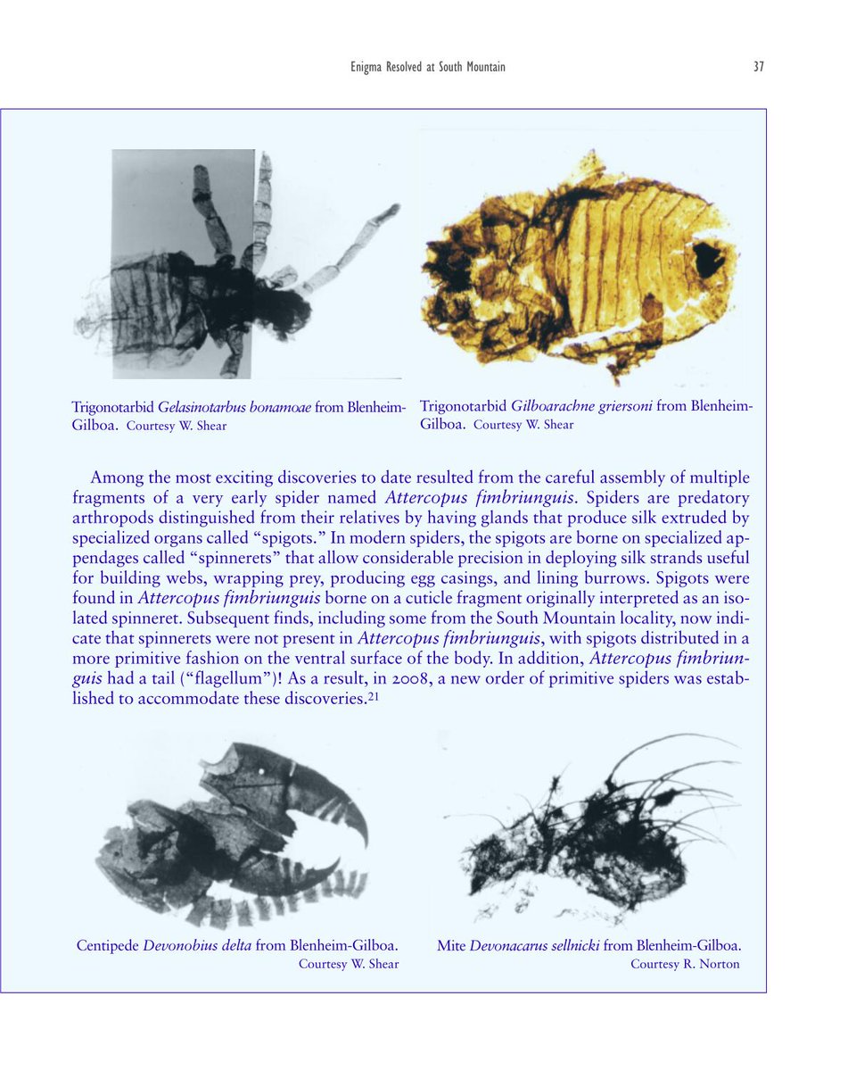 nhbsBooks tweet media
