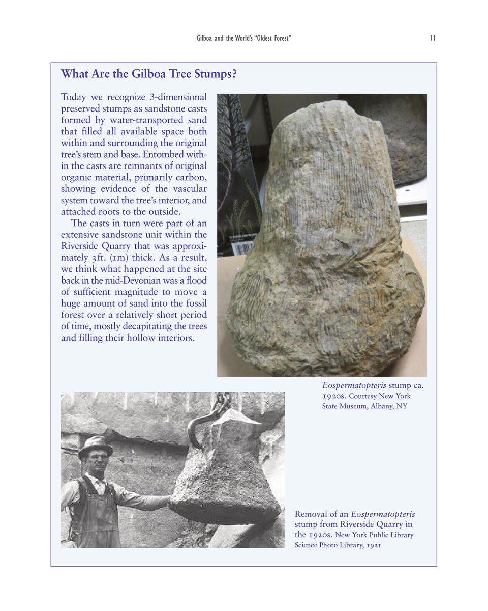 nhbsBooks tweet media