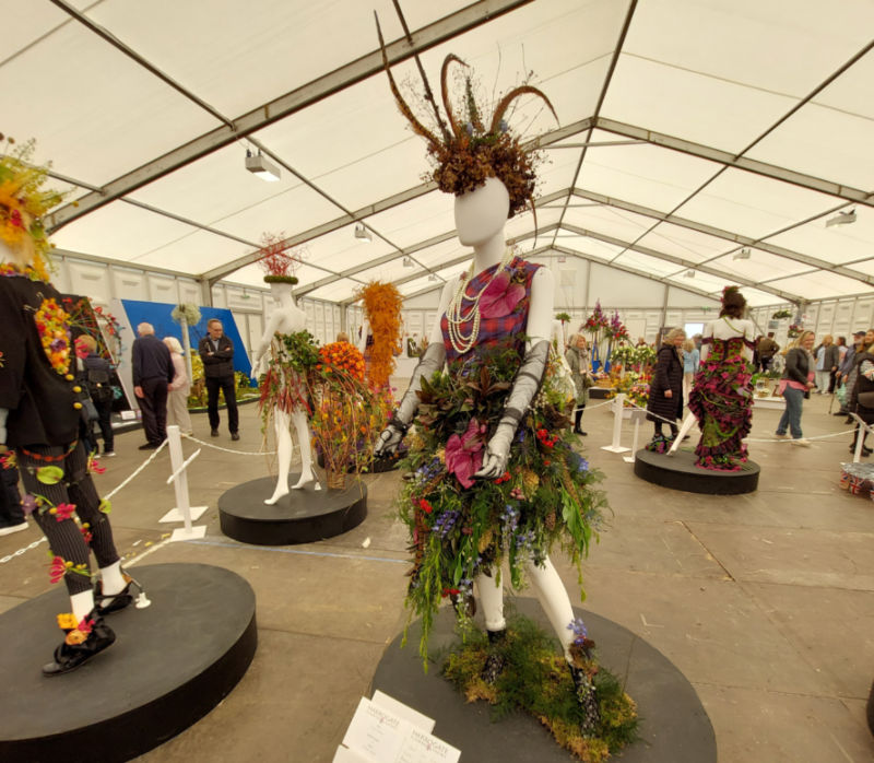 MandyCanUDigIt's tweet photo. Review of #HarrogateSpringFlowerShow. Congrats to Best in Show winners @plantagogo! Full Floral Art results Quirky pics from @ipa_music . @HarrogateFlower #harrogateflowershow #gardening #gardenshour #gardeningtwitter https://t.co/dCTuLrZbUd https://t.co/pGo30X1abn