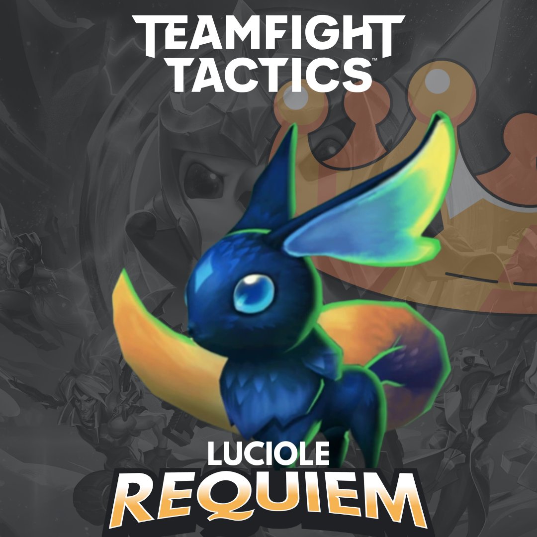 Requiem for a Noob #WeAreNoobs tweet media