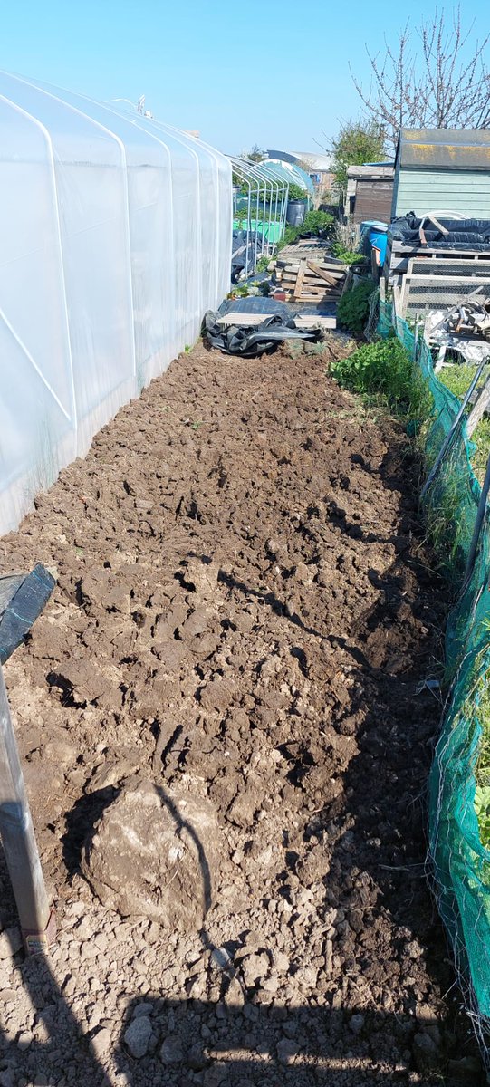 More progress on the allotment yesterday ready for planting now #digging #allotmentlife #soil #youdigme #allotment #uk #sunnyday #thankgoodnessitsfriday #FridayFeeling #growyourown #vegetables #fruit #nochemicals #nopesticides #healthyliving #thankyouforfollowing