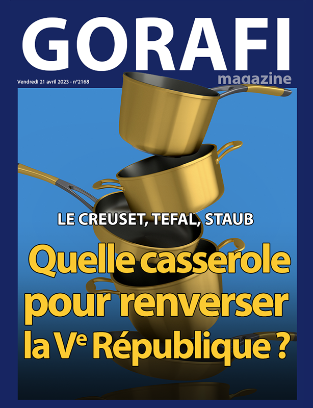 le_gorafi's tweet photo. Le Creuset, Tefal, Staub – Quelle casserole pour renverser la Ve République ? - https://t.co/1BJYe4pl0D https://t.co/Str7tWjR3e