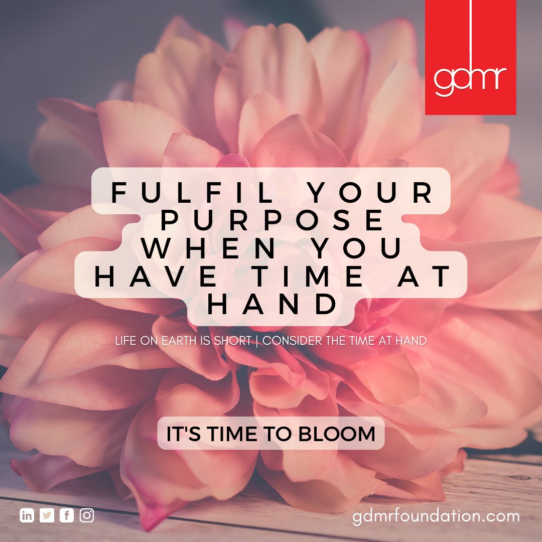 GdmrFoundation's tweet photo. No one has seen tomorrow. So what are you waiting for? 

#now #doit #candoit #justdoit #socialmedia #socialmediamarketing #digitalmarketing #graphicdesign #gdmr https://t.co/ZOI88579KH