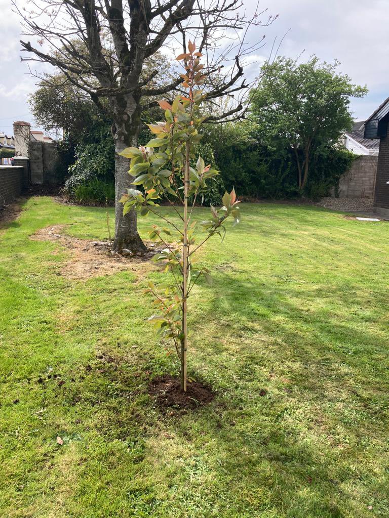 Karl Daly 🇺🇦 tweet media