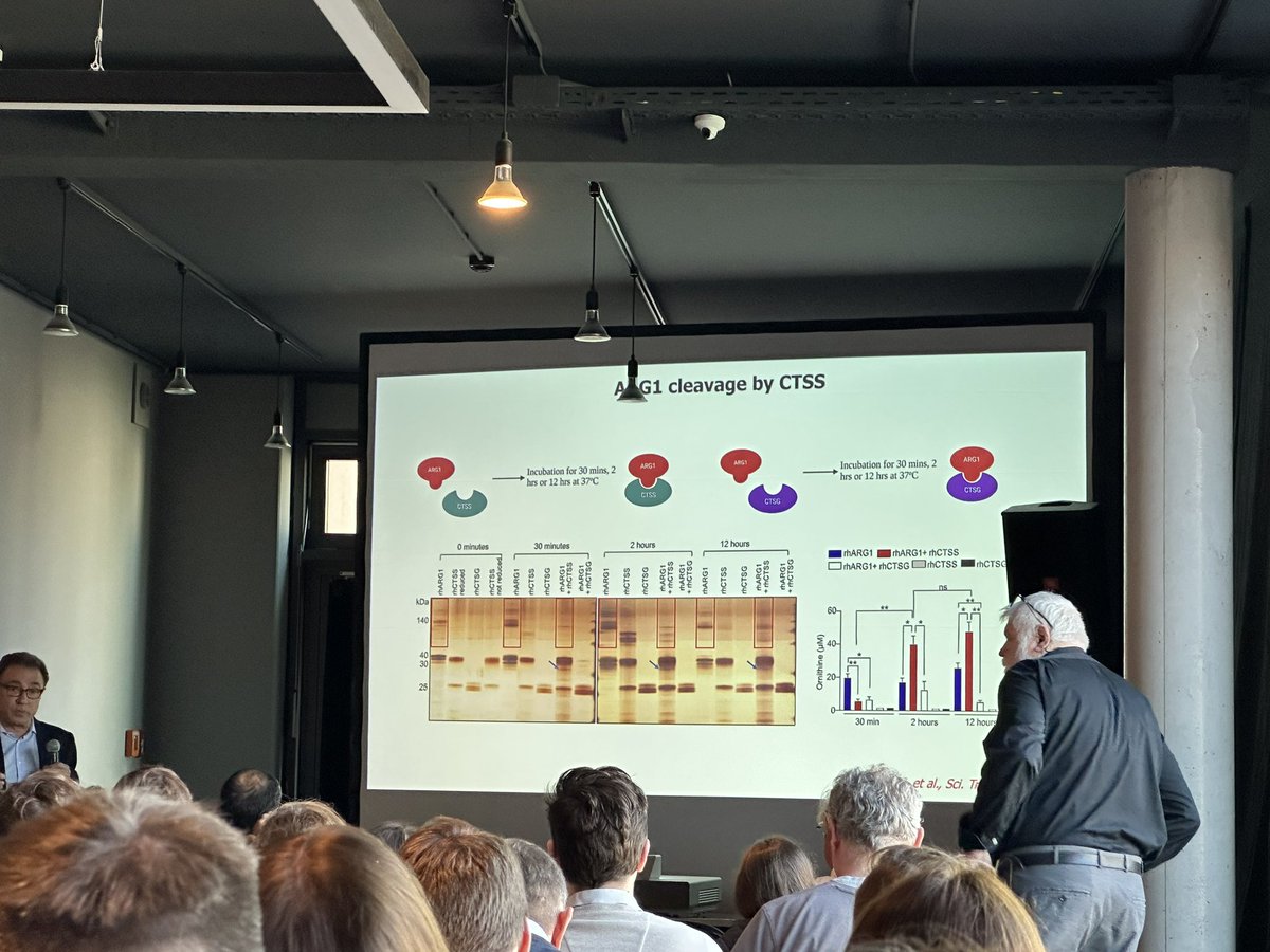 BernardAFox's tweet photo. 6) Prof Vincenzo Bronte #cancer #immunology Expert #Padova - Cathepsin S #CTSS - co-localizes with ARG in NETs - hi Mol wt bands reduced ARG/neutralization incr function of #PDAC #TIL /incr IFNG & IL-2 @letswinpc @PancreaticCanUK @PanCAN @lustgartenfdn #TIMO2023 @romleidner https://t.co/7dmKnwTa4l